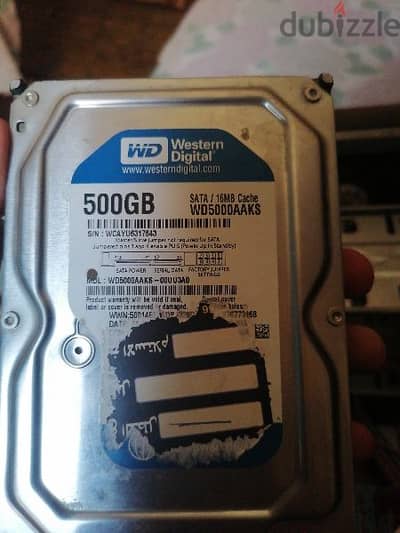 هارد western digital