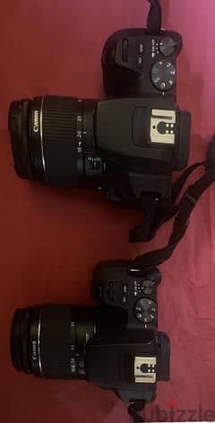 ٢ كاميرا كانون EOS 250D