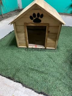 Dog House