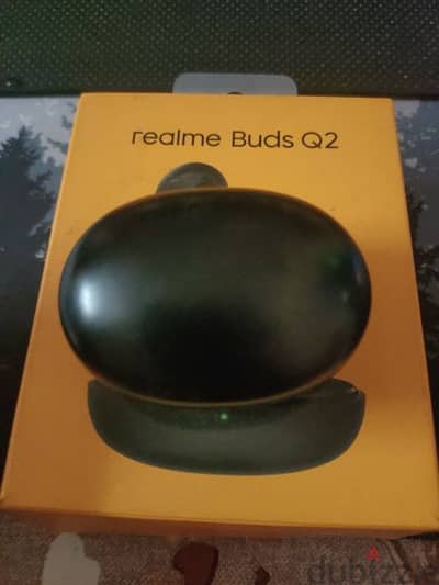 realme Buds Q2