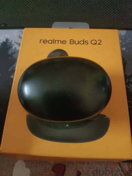 realme Buds Q2 0