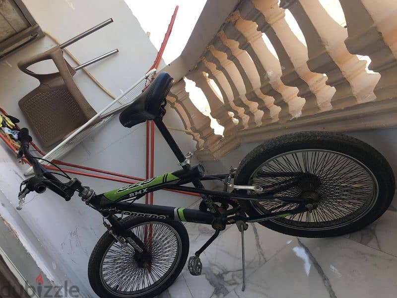 torpedo bmx 2018 0