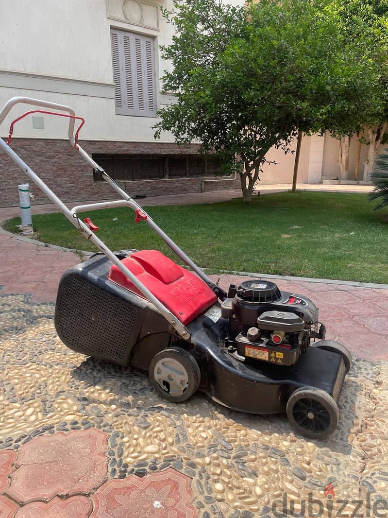 Lawn Cutting Machine 2