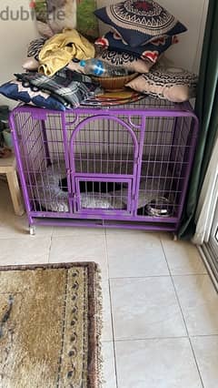 قفص كلاب كبير حديد Dog Steel Cage Large Size