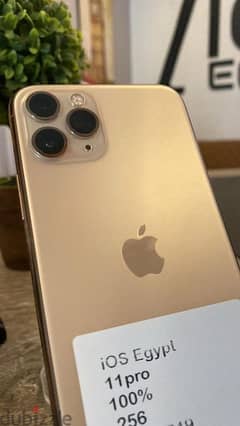 iphone 11pro