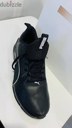 puma size 40