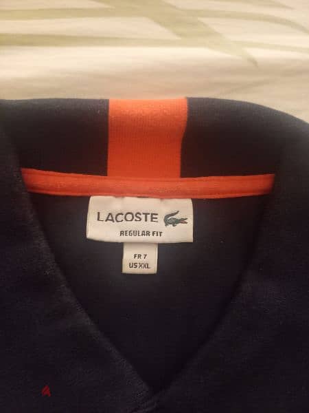 dark blue lacoste shirt 1