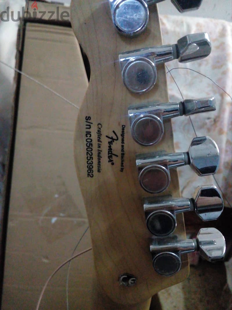 اليكتريك جيتار فيندر  fender squier stratocaster made in indonesia 6