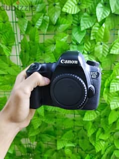 Canon 6D mark 1 0