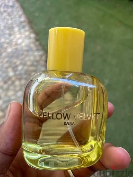 zara yellow velvet perfume 2