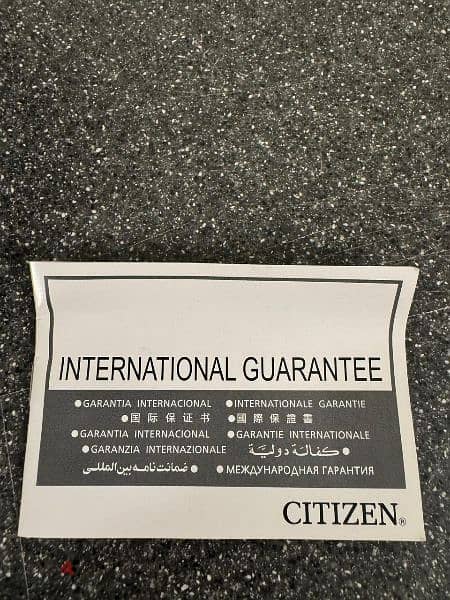 Citizen BV1118-84E 11