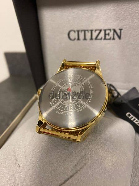 Citizen BV1118-84E 13