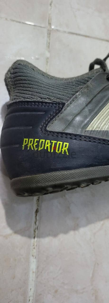 ترتان كورة أديداس Adidas predator 2024 أورجينال 4