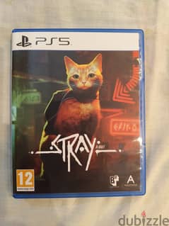 Stray