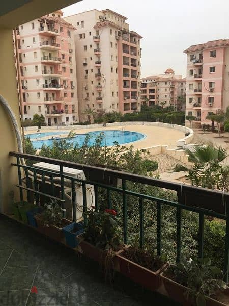 شقة إيجار مفروش دريم لاند على حمام السباحة و اللاندسكيب Apartment rent 0