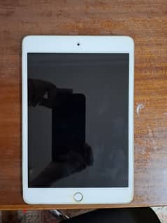 Ipad mini4 (2015)