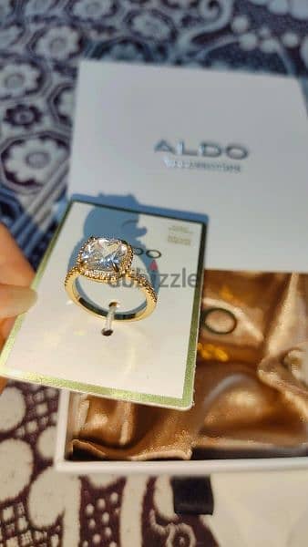 Aldo accessories 1