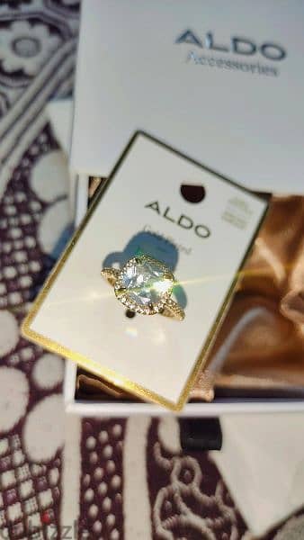 Aldo accessories 2