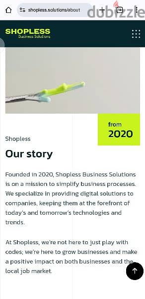 Shopless Business Solutions 2