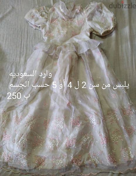 سواريه 17