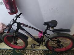 Xnirt bike