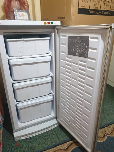 W Alaska Defrost deep freezer 2