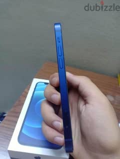 iphone 12 (Blue)