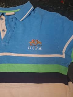 t shirt polo