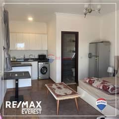 Modern Furnished Studio With Roof For Rent In The 7th District - eLSHEIKH Zayed