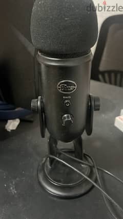 blue yeti