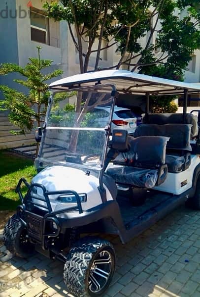 Raya Golf car 6 seats 2024 1