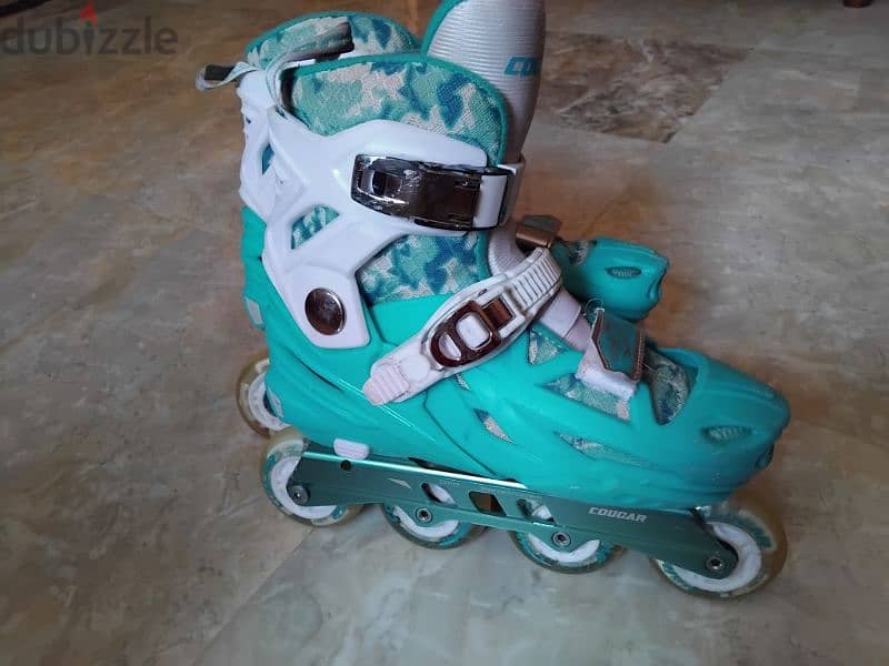 skate cougar 315 4