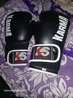 BOXiNG KARMA FOR SALE