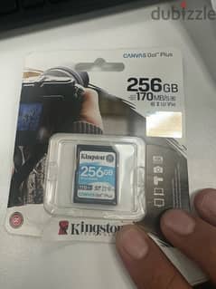 kingstone CANVAS GO PLUS 256 GB