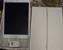 iPad mini 4