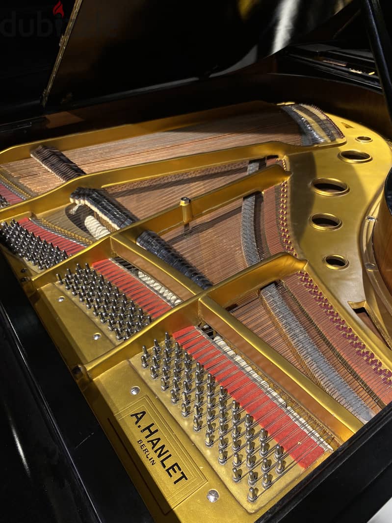 Grand german piano 4