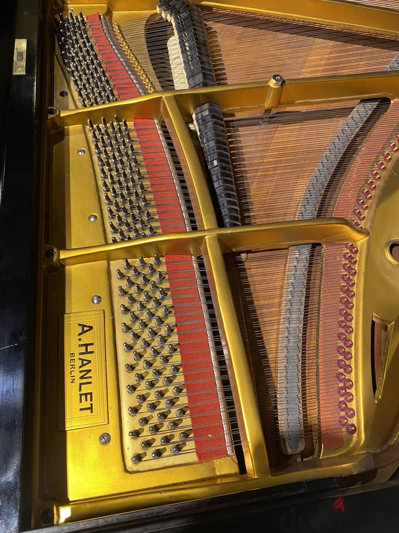 Grand german piano 5