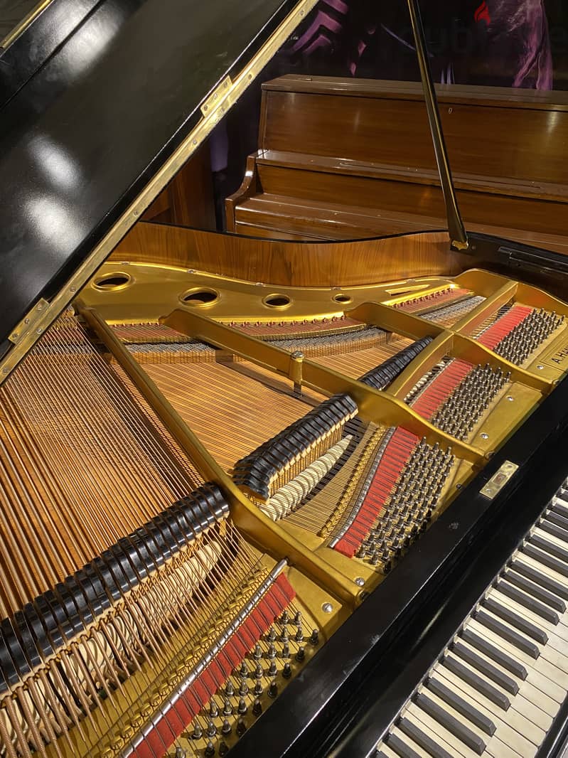 Grand german piano 7