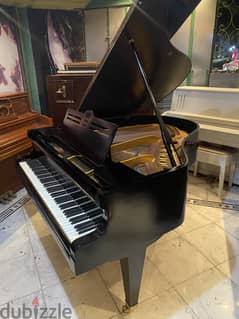 German baby grand for a professional pianist