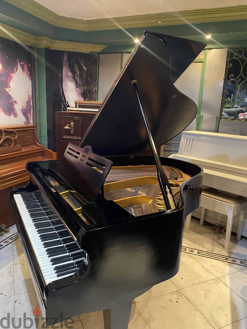 German baby grand for a professional pianist 1