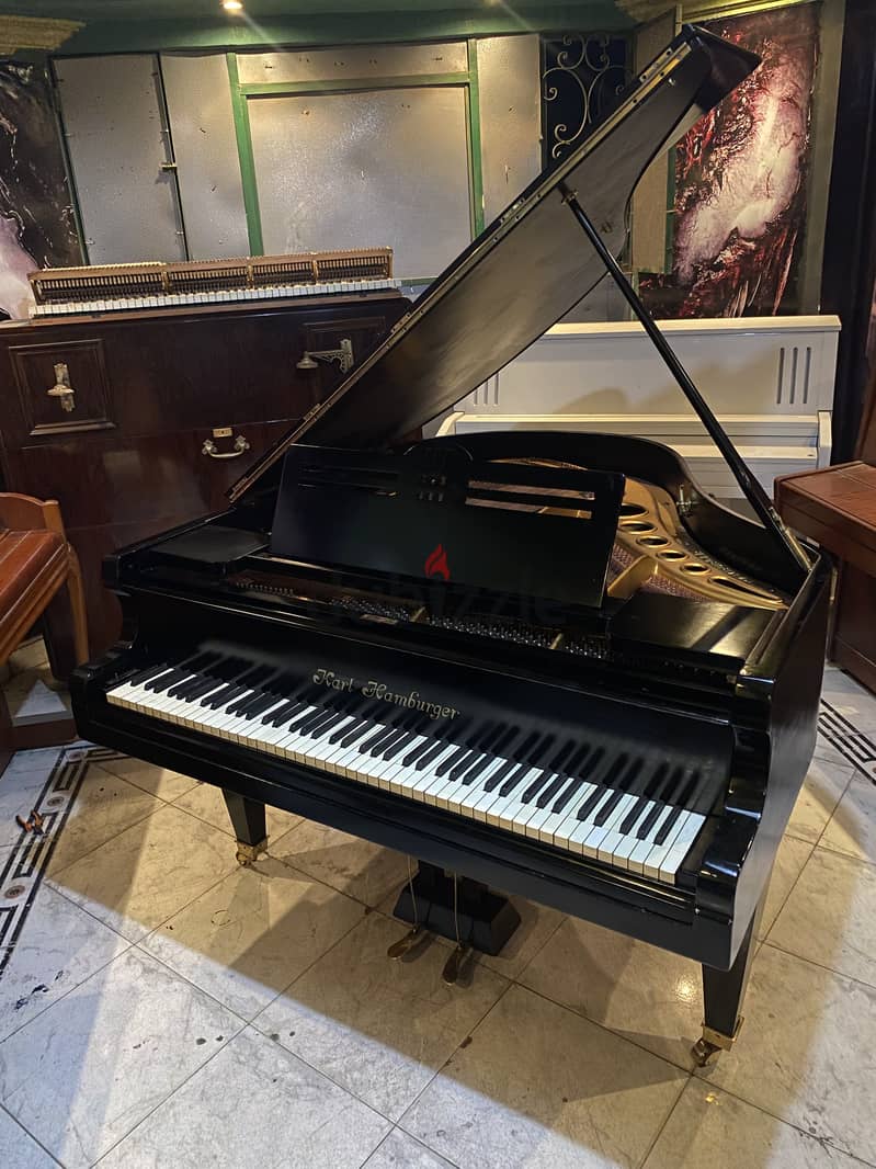 German baby grand for a professional pianist 2