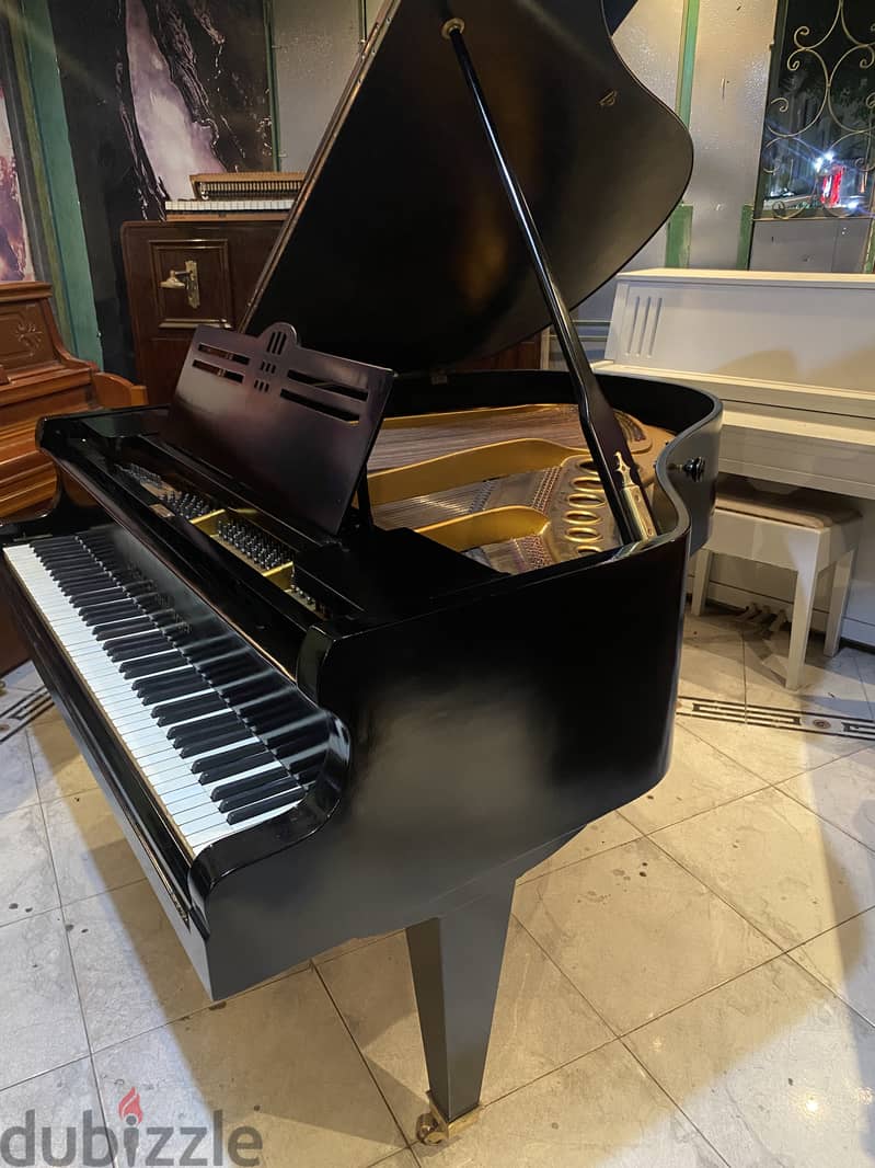 German baby grand for a professional pianist 4