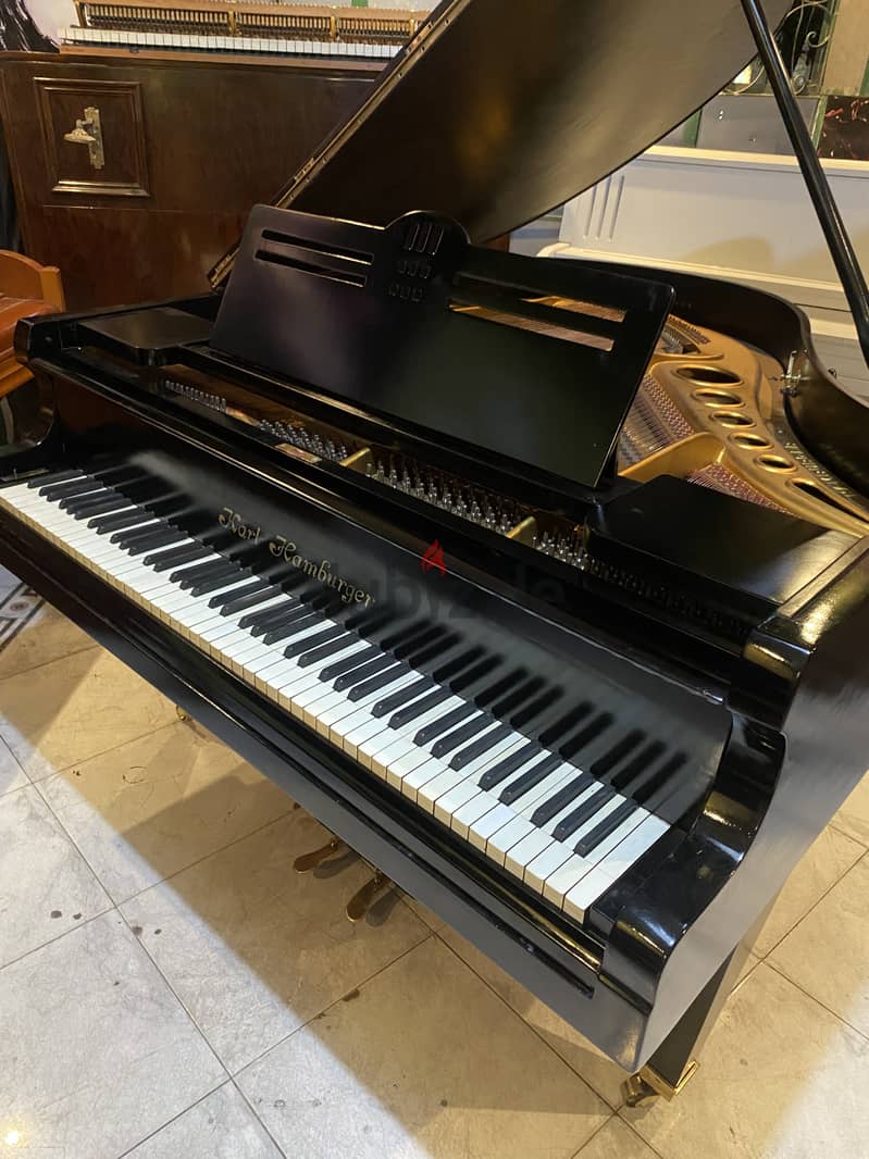 German baby grand for a professional pianist 8