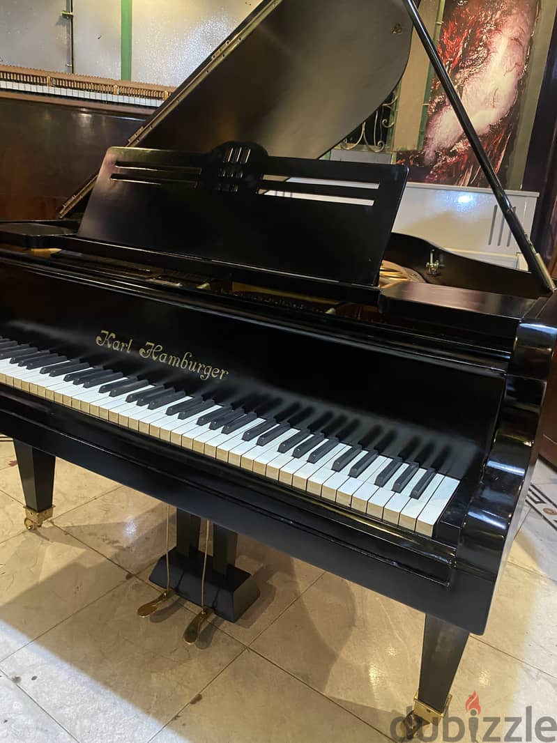 German baby grand for a professional pianist 10