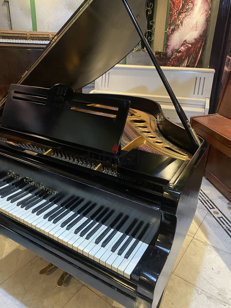 German baby grand for a professional pianist 11