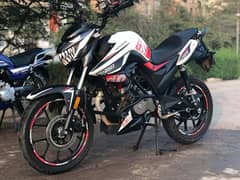 هوجان 250