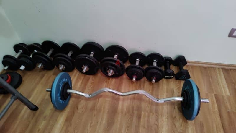 Dumbells and bench gym all from decathlon 1