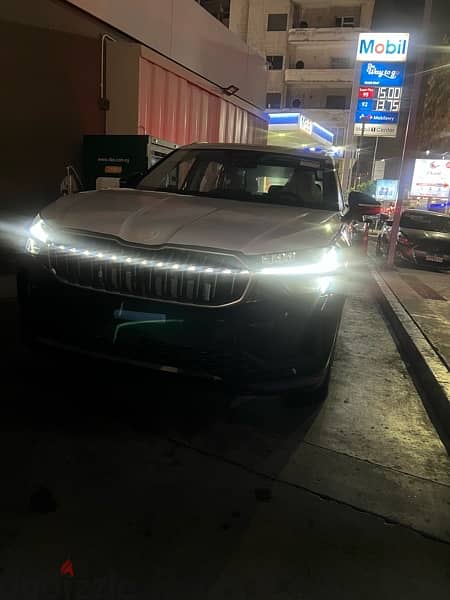 Skoda Kodiaq 2024 3