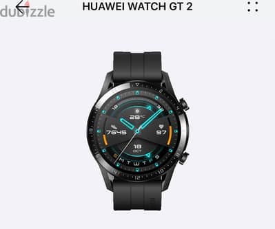 Huaei watch GT2