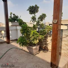 Apartment for sale  320m New cairo  banafseg buildings